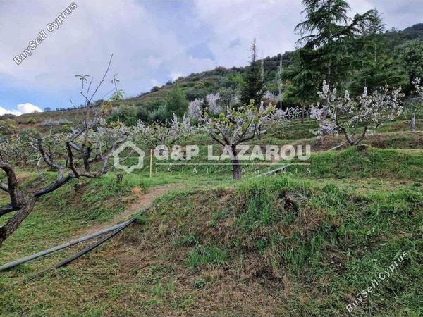 land for sale kampos nicosia 1813529 image 6268077