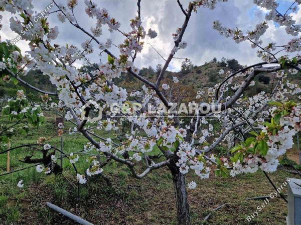 land for sale kampos nicosia 1813529 image 6268081