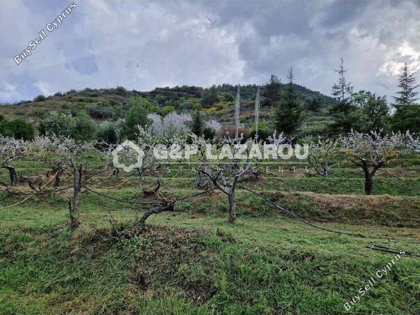 land for sale kampos nicosia 1813529 image 6268083