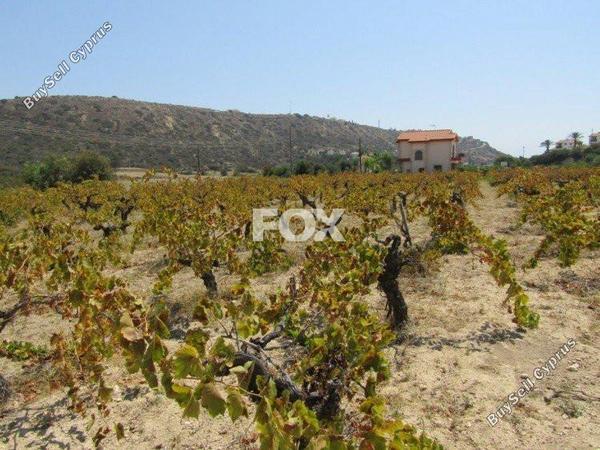 land for sale pissouri limassol 1146529 image 5496428