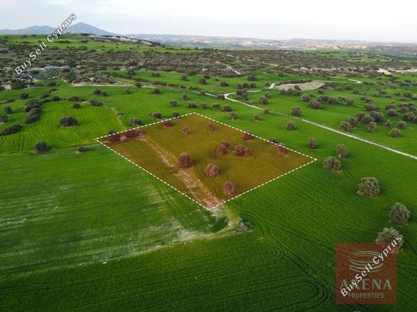 land for sale agios theodoros larnacas larnaca 1269629 image 13152809