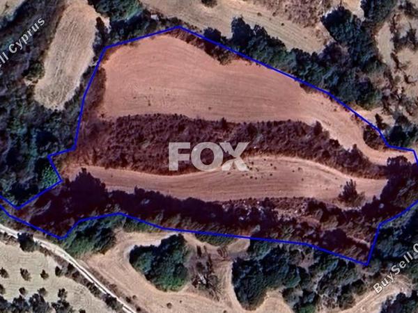 land for sale simou paphos 7703629 image 10008872