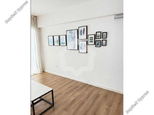 2 bedroom apartment for rent strovolos nicosia 8338729 image 15685708