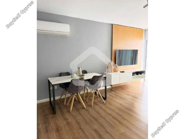 2 bedroom apartment for rent strovolos nicosia 8338729 image 15685719