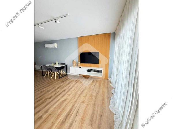 2 bedroom apartment for rent strovolos nicosia 8338729 image 15685721