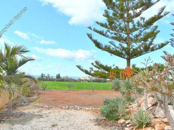 3 bedroom detached house for sale sea caves peyia paphos 7737729 image 10194142