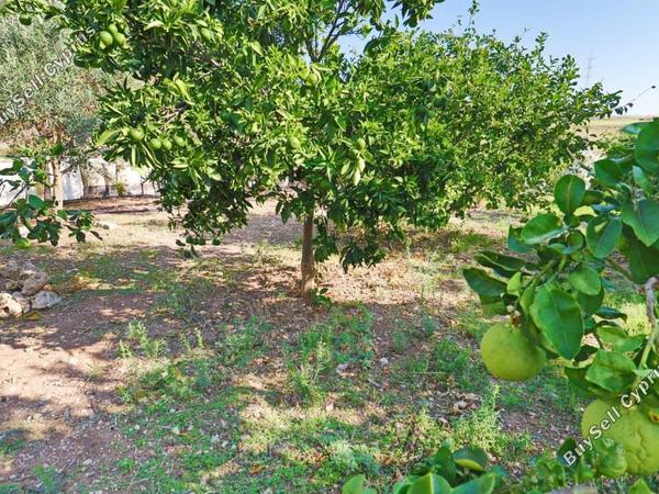 2 bedroom bungalow for sale souskiou paphos 8529829 image 15457640