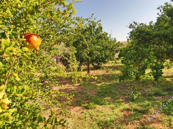 2 bedroom bungalow for sale souskiou paphos 8529829 image 15457641