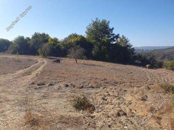 land for sale kinousa paphos 1751829 image 17601146