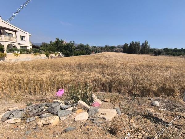 land for sale poli chrysochous paphos 8395829 image 14821998