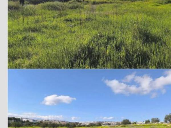 plot for sale ypsonas limassol 8804829 image 16801961