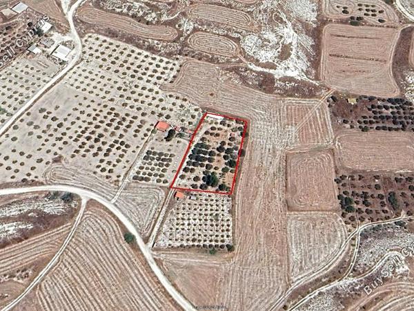 land for sale aradippou larnaca 1777929 image 13142435