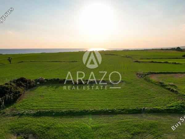 land for sale mazotos larnaca 1625929 image 14181267