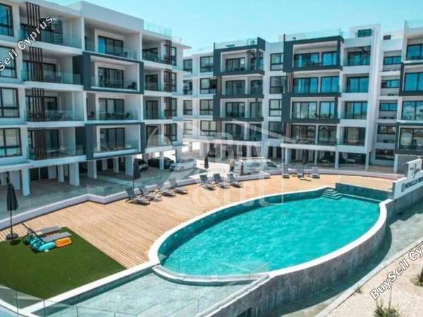 2 bedroom apartment for sale livadia larnacas larnaca 7994039 image 15983442