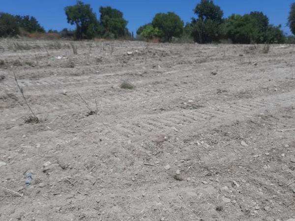land for sale agios dimitrianos paphos 1836139 image 6518363