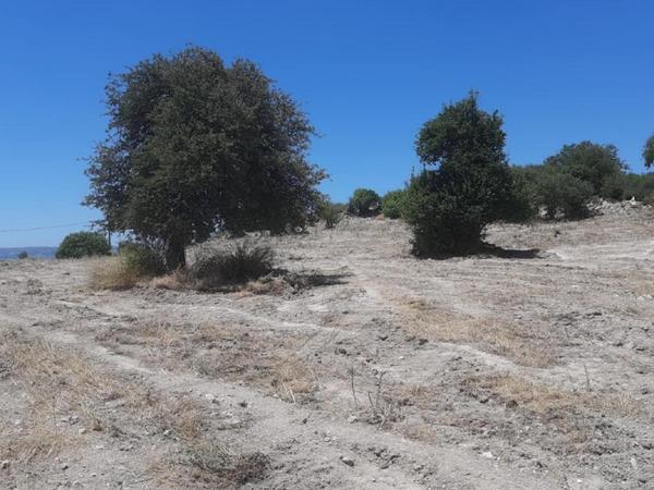 land for sale agios dimitrianos paphos 1836139 image 6518365