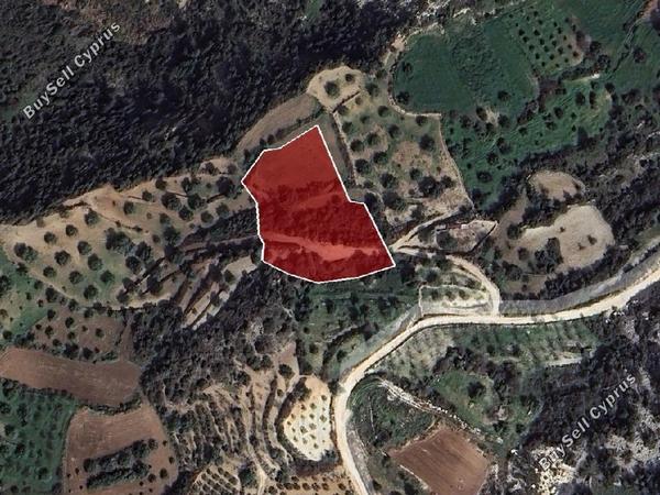 land for sale koili paphos 8711139 image 16276488