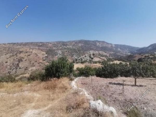 land for sale koili paphos 8711139 image 17207448