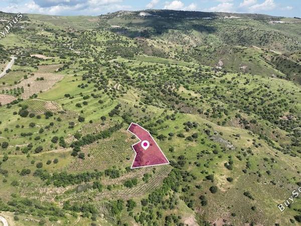 land for sale statos agios fotios paphos 8676139 image 16305551