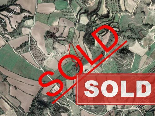 land sold lemona paphos 828139 image 13109417