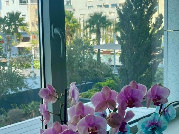 2 bedroom apartment for sale neapolis limassol 8377239 image 15826876