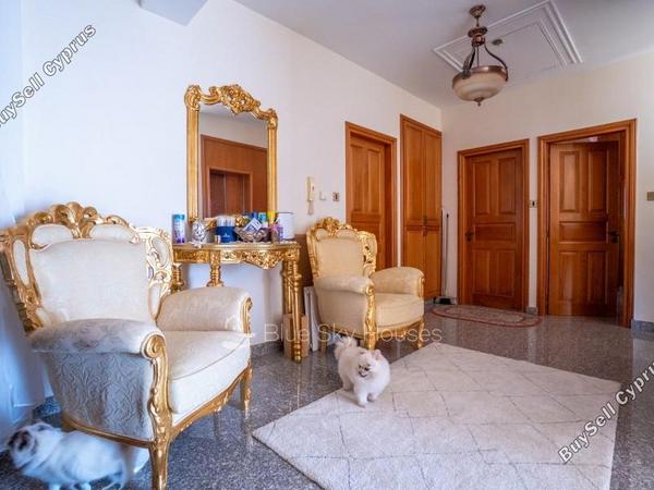 6 bedroom detached house for sale apesia limassol 7739239 image 15994820