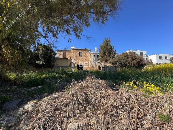 land for sale neo chorio paphos 8509239 image 15574487