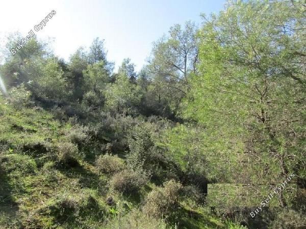 land for sale psevdas larnaca 8630239 image 15871903