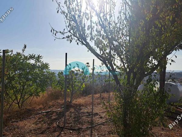 plot for sale ora larnaca 8785239 image 16647175