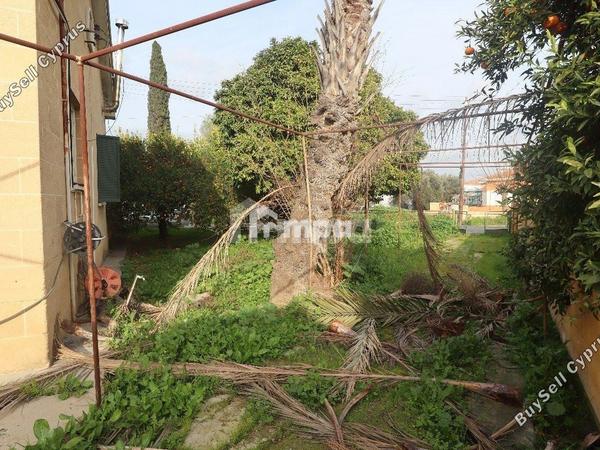 3 bedroom detached house for sale kaimakli nicosia 1728339 image 5513324