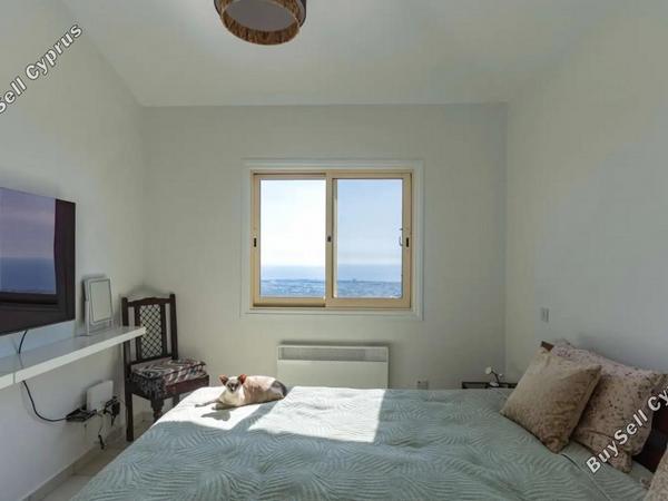 3 bedroom detached house for sale tsada paphos 8429339 image 17333605