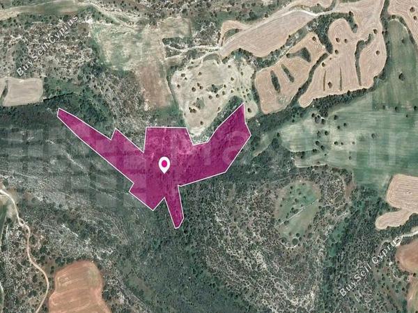 land for sale agios theodoros larnacas larnaca 7872339 image 15714545