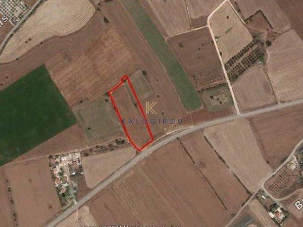 plot for sale mazotos larnaca 1195339 image 5577488
