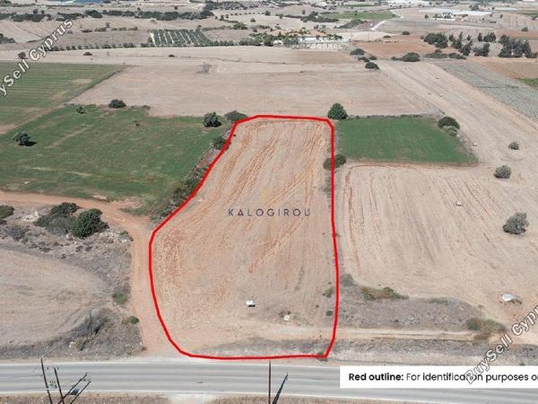 plot for sale mazotos larnaca 1195339 image 5577491