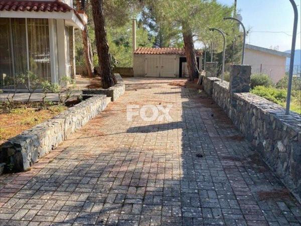 4 bedroom detached house for sale trimiklini limassol 1148439 image 5541706