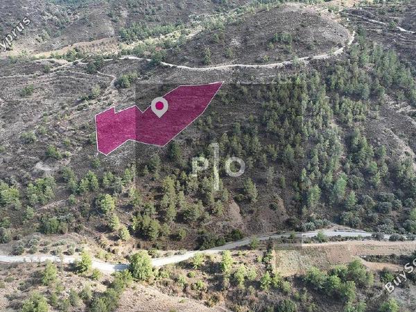 land for sale fikardou nicosia 8275439 image 15159700