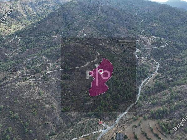 land for sale fikardou nicosia 8275439 image 15159705