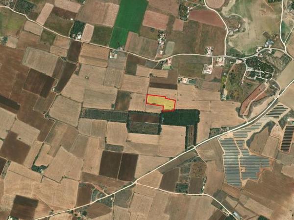 land for sale frenaros famagusta 1420439 image 2724323