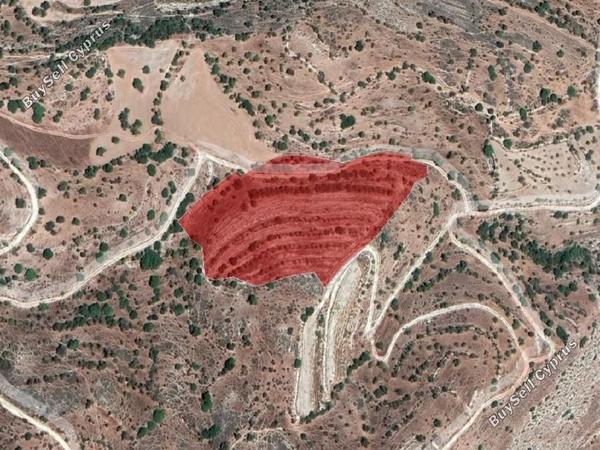 land for sale nata paphos 8630439 image 17208022