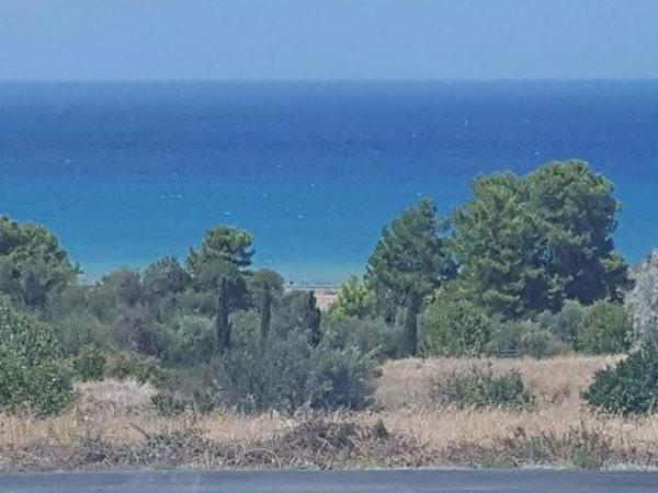 plot for sale argaka paphos 1898439 image 14216112