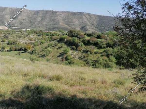 land for sale dora limassol 8633539 image 15882313