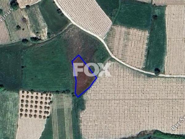 land for sale polemi paphos 1161539 image 5559704