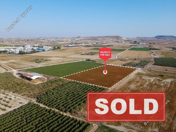 land sold athienou larnaca 1464539 image 3521809