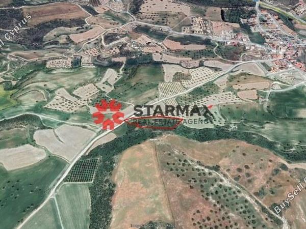 land for sale alaminos larnaca 1306639 image 13939218