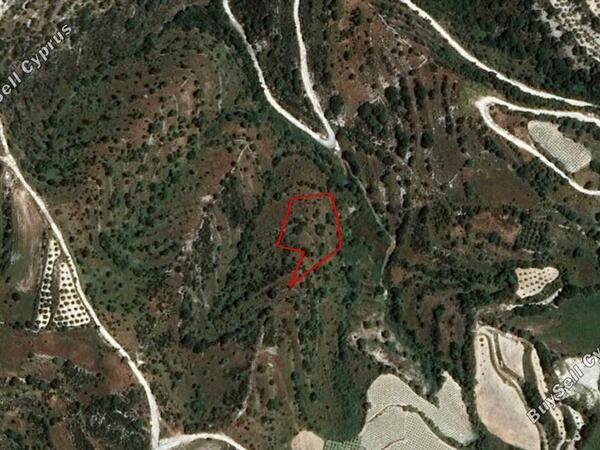 land for sale dora limassol 828639 image 2813356