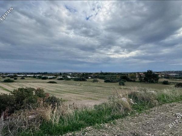 land for sale kalavasos larnaca 1613639 image 5857259