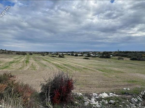 land for sale kalavasos larnaca 1613639 image 5857268