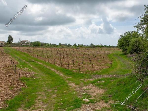 land for sale kathikas paphos 8537639 image 16298238