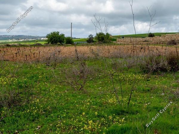 land for sale kathikas paphos 8537639 image 16298241