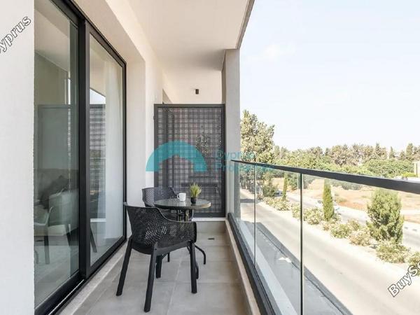 1 bedroom apartment for rent kato paphos universal paphos 8838739 image 17029880